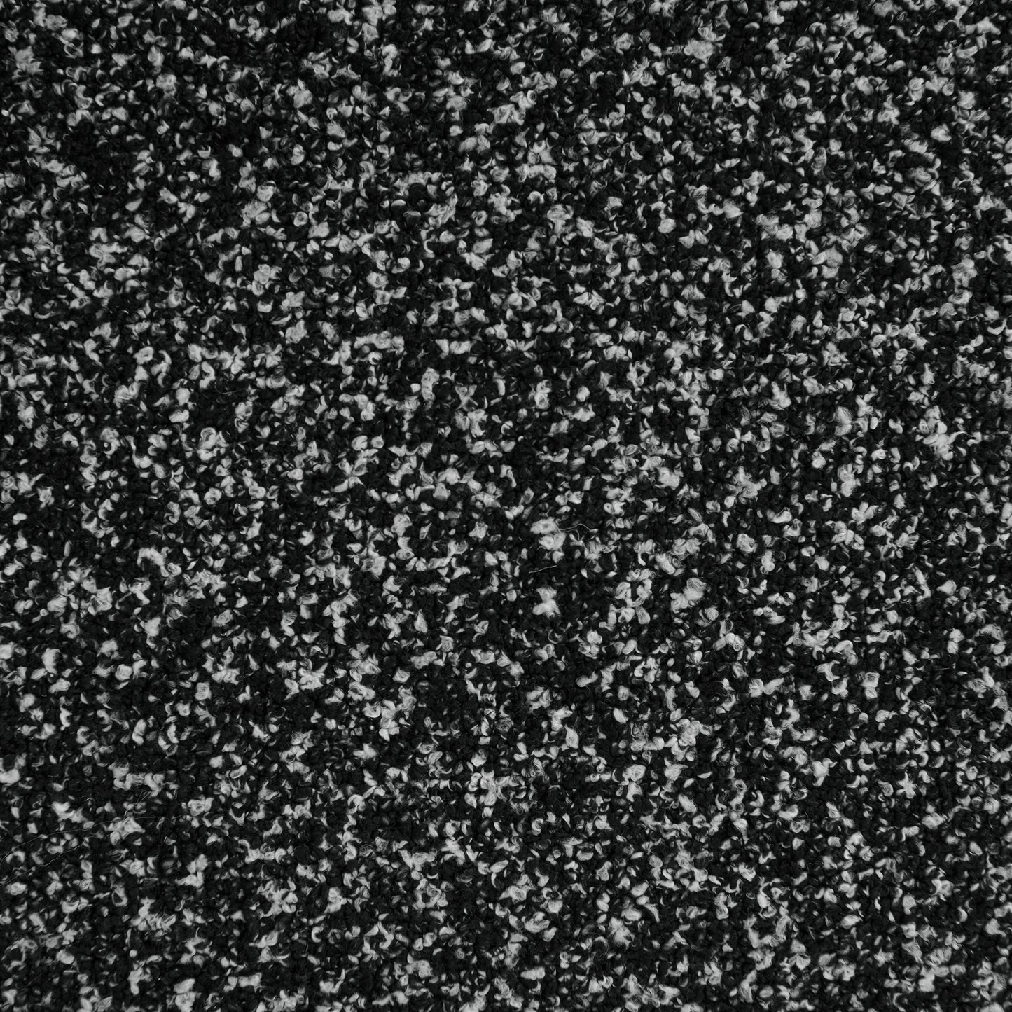 20621736