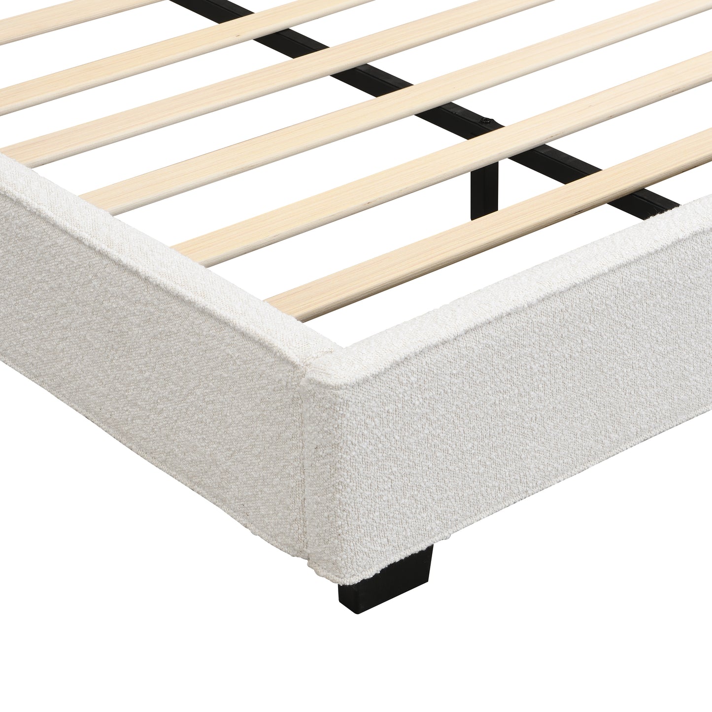 24199508